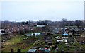 Allotments