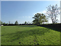 Public footpath near Braydon Cottage