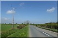 Electric cables cross the road