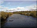 River Ness from Holm Mills bridge