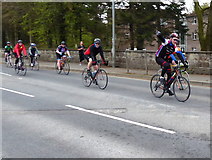 H4772 : Cyclists along Donaghanie Road by Kenneth  Allen