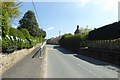 Bunting in Sutton-Under-Whitestonecliffe