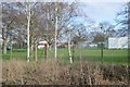 Sports Ground by Hogsmill River