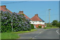 Houses by the A342 at Rowde