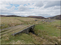 NH8423 : A General Wade bridge and the ruins of Ortunan by Julian Paren