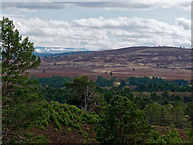 NH8521 : View south from the Slochd Military Road near Inverlaidnan by Julian Paren