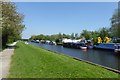 Narrowboats along the Selby Canal