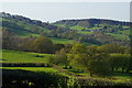 Hillside fields west of the Wye valley