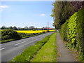 Rectory Road, Upper Langwith