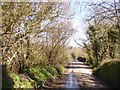 Bridge over River Inny at Trewen Mill