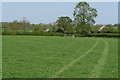 Pasture by the path to Akeley