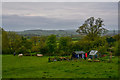 East Devon : Countryside Scenery