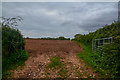 East Devon : Ploughed Field