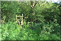 Ouse Valley Way coming out of the trees by the pond