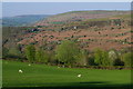 Pasture set above the Wye valley