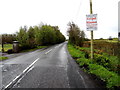 Seskinore Road, Tullyrush