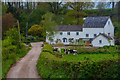 East Devon : Country Lane