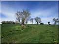 Footpath to Hutton Magna