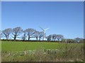 Field, trees and wind turbine north of A30 near Wortham Manor