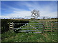 NZ1212 : Gates on the bridleway between Hutton Fields and Hutton Magna by Jonathan Thacker