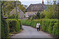 East Devon : Country Lane