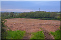 Talaton : Ploughed Field