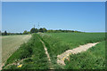 Bridleway towards Chisbury Wood