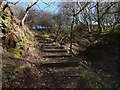 Path to the Greenock Cut