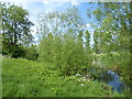 Down Barns Moated Site, Sharvel Lane