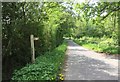 Footpath to Broadreed Farm