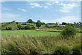 Pasture west of Barby in Northamptonshire