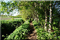 Path leading to Cissplatt Lane, Keelby