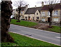 Trees and houses, The Hill, Burford