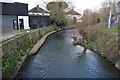 Hogsmill River