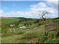 Old orchard country, Clyde Valley