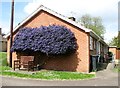 Cottages in Broom Close