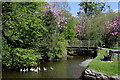 Bassenthwaite footbridge