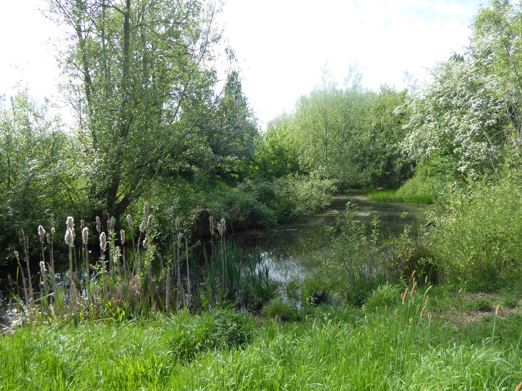 Down Barns Moated Site, Sharvel Lane © Marathon cc-by-sa/2.0 ...