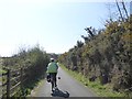 SX9787 : Cycle track between Topsham and Exton (1) by David Smith