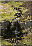 NY7337 : Doups Burn with sheep and waterfall by Trevor Littlewood