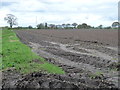 SE6554 : Farmland east of Holtby Lane Farm by Christine Johnstone