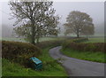 Start of the lane near Dollynwydd