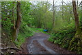 Corner on very steep dead-end lane into the Duhonw valley