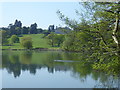 Gatton Hall from Gatton Park