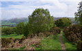 Wye Valley Walk - footpath and view