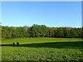 Site of Pen Pond, Etchingham Forge