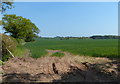 Farmland near Fernhill