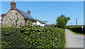 Church Eaton Road at Bromstead Heath