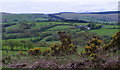 Gwenddwr valley view from the top of the lane