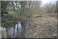 Channel, Holywater Meadows